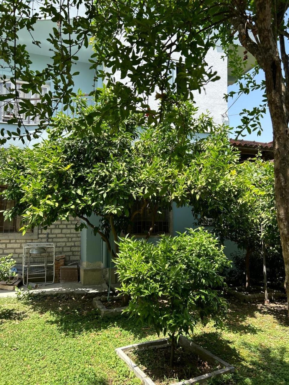 Guesthouse Katerina Berat Luaran gambar